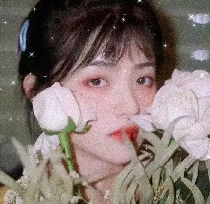 尽管雪落